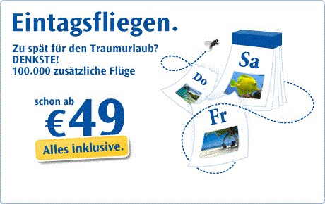 Condor-Eintagsfliegen