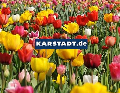 VEST-Fruehling_om2(1)