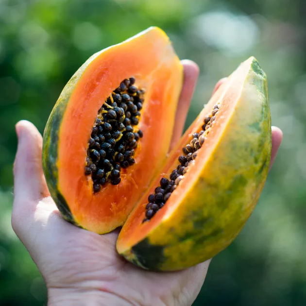 Jurassic Fruit - Früchte aus der ganzen Welt