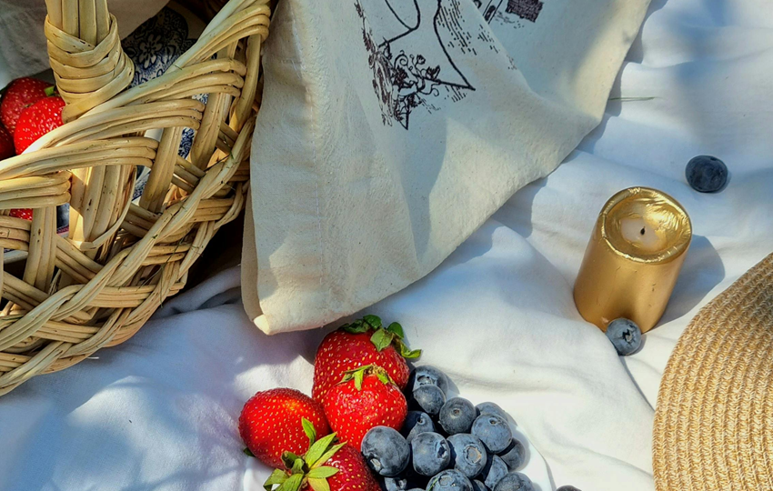 Picknick im Park