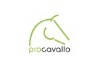 procavallo